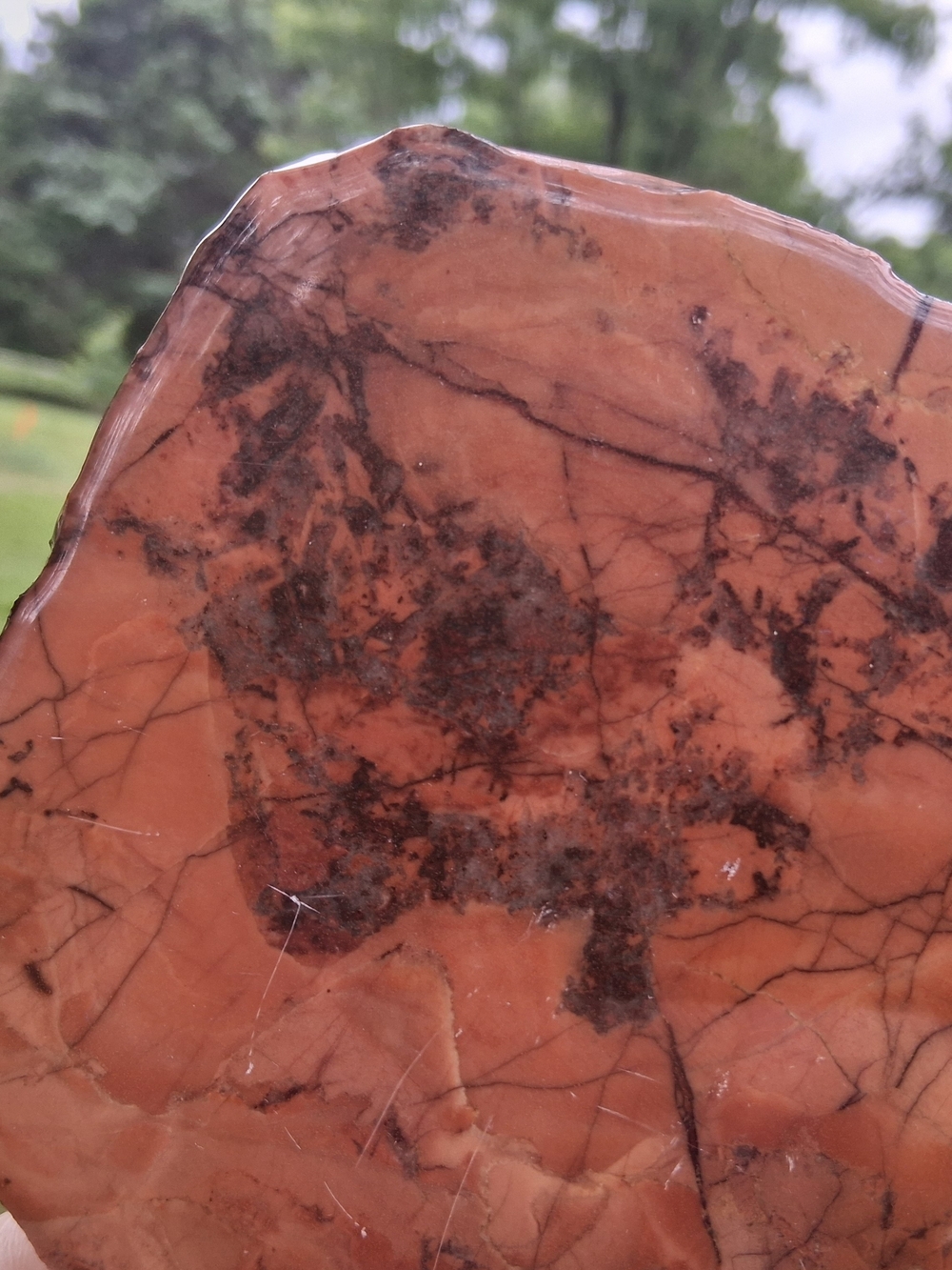 Kona Dolomite Polished Slab Display 8.5" Stone Rock Specimen Michigan - Picture 3 of 10